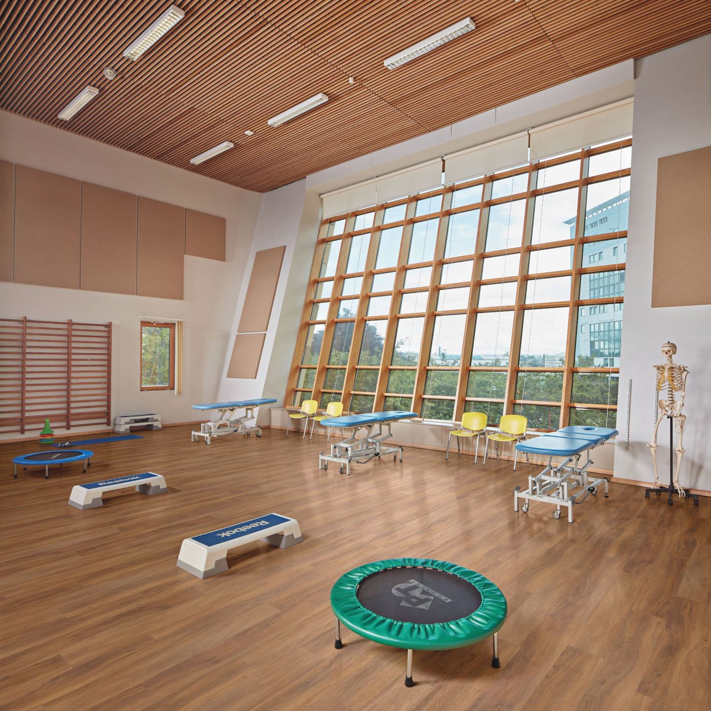 exercise equipment in open space lvt thumbnail 