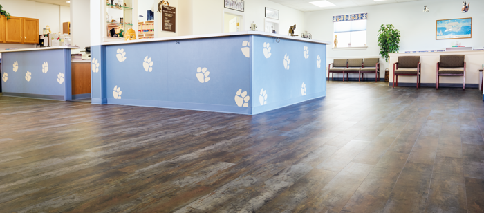 Texo SP718 floors in Hempfield Animal Hospital's waiting room