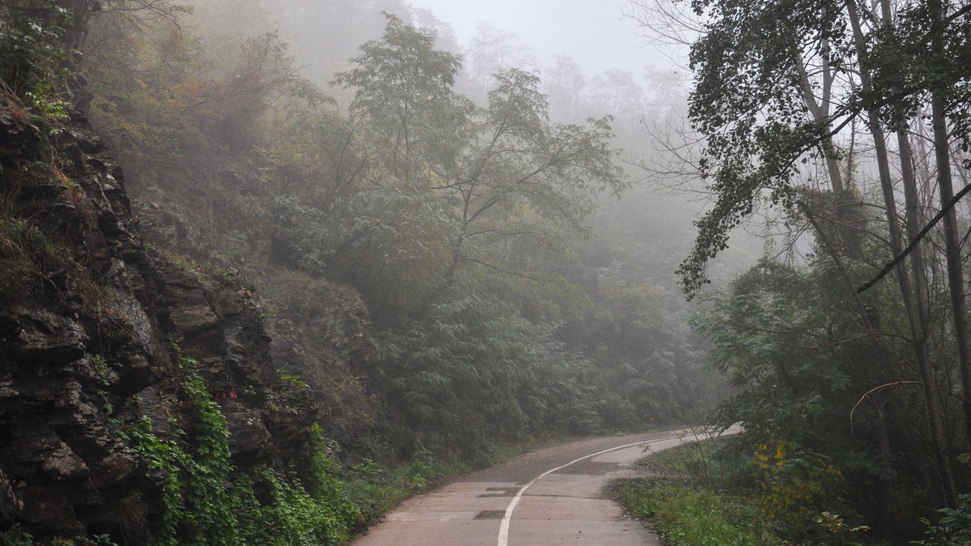 A windy road through woods