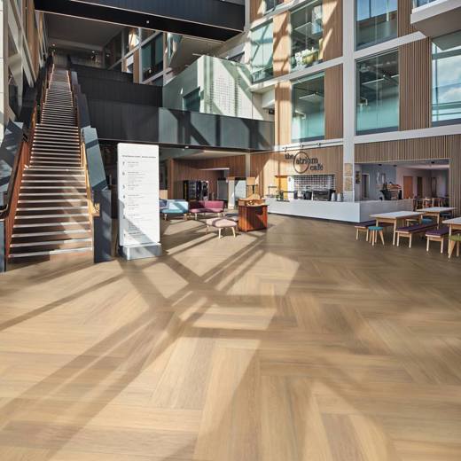 Savannah Oak RL23 in a university building lobby